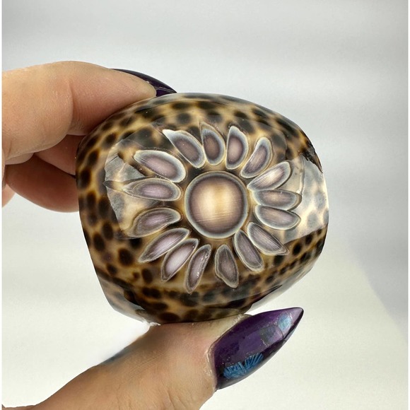 Boho Chic Cowrie Shell Napkin Rings - Set of 6 | Embroidered Ivory Napkin set - Picture 3 of 14